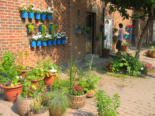 Image of wall garden via Happy Sleepy, Flickr